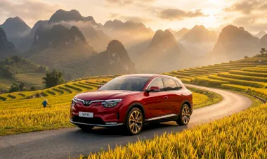 VF8 Plus​